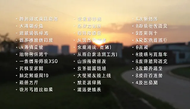 短视频提示词网盘发货:两种做法的对比与选择